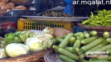 سعر الكيلو 20 جنيهاً.. تحديث جديد في أسعار الخضروات بمشرق مطروح اليوم